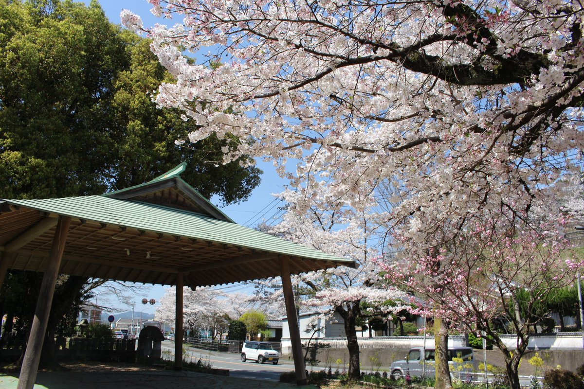 建　茂 tweet media