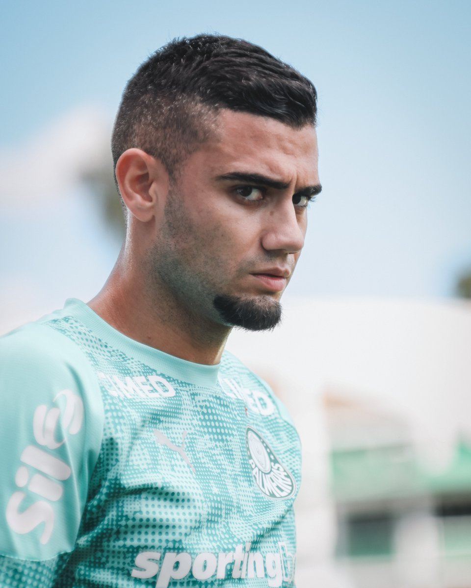 SE Palmeiras tweet media