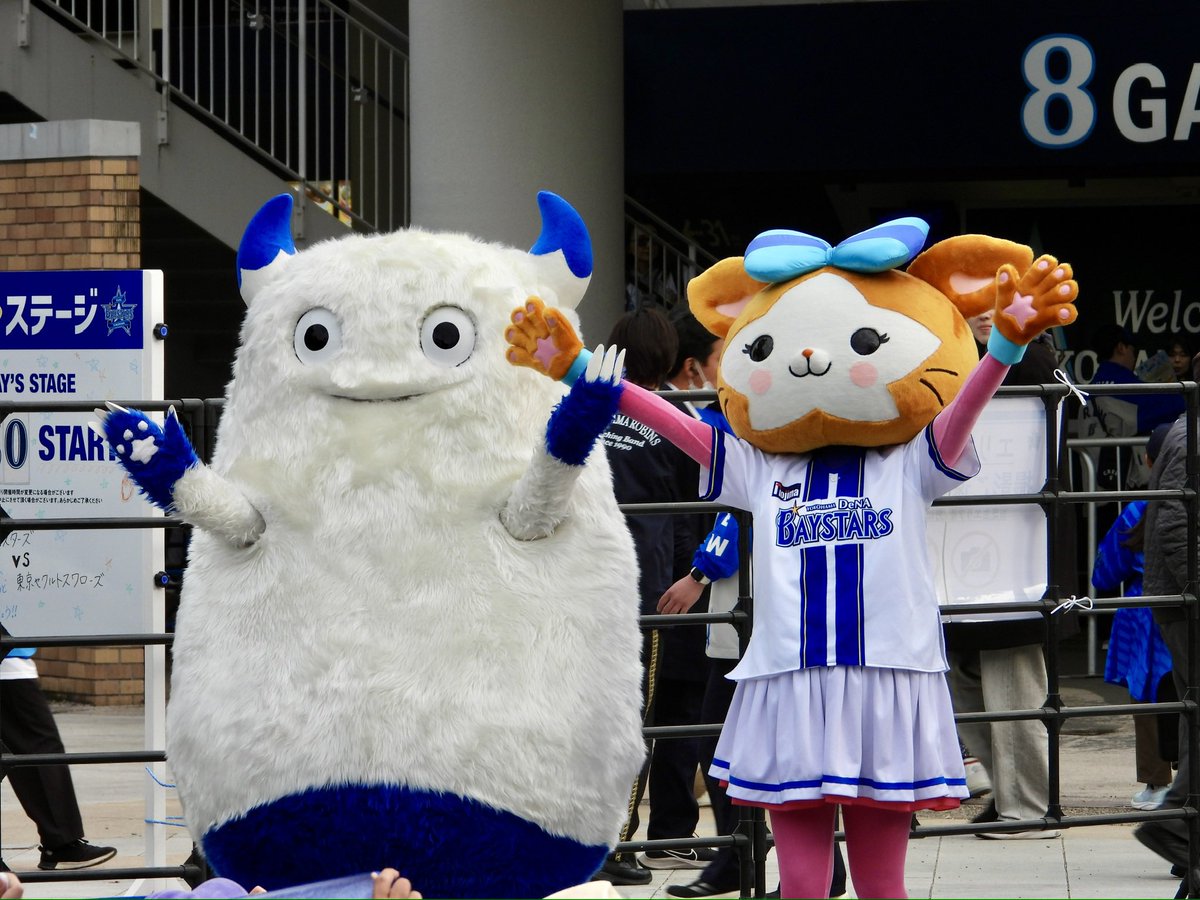 🟡🦭 tweet media