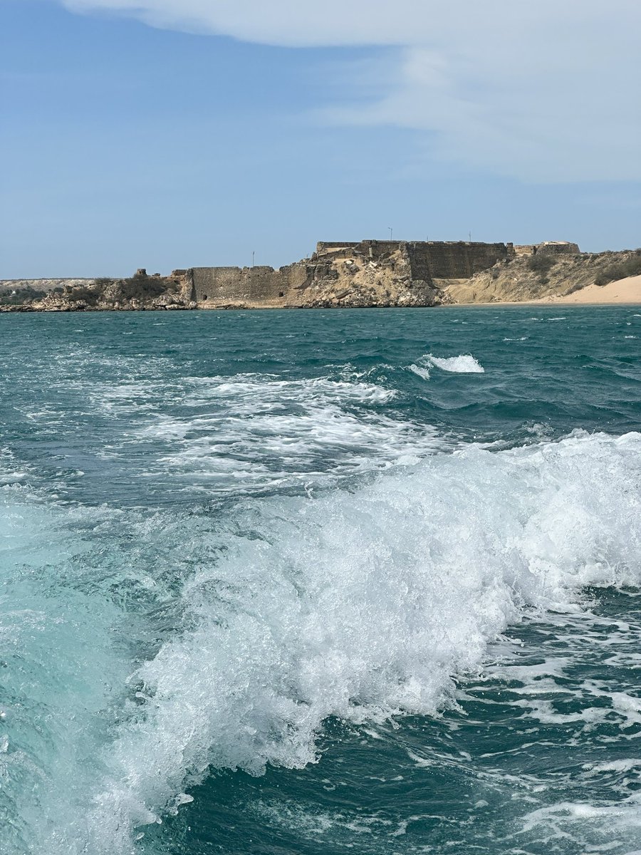 El guaro tweet media