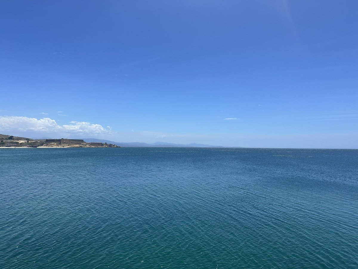 El guaro tweet media