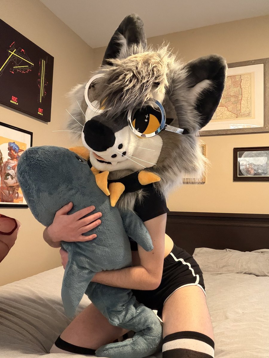 ⚡️Sparks⚡️🐺 🦊🔜 FCL tweet media