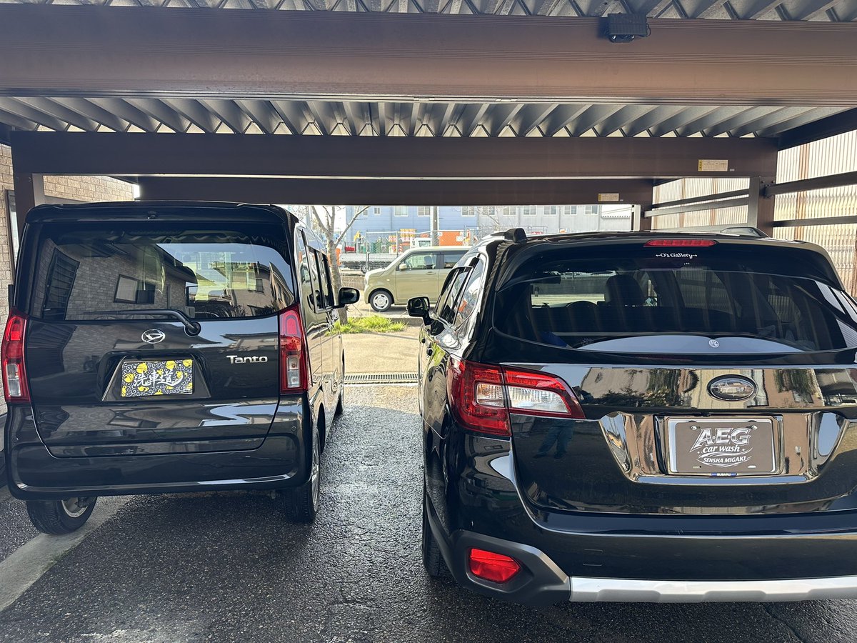 えど(腹下変態組合 副組合長) tweet media