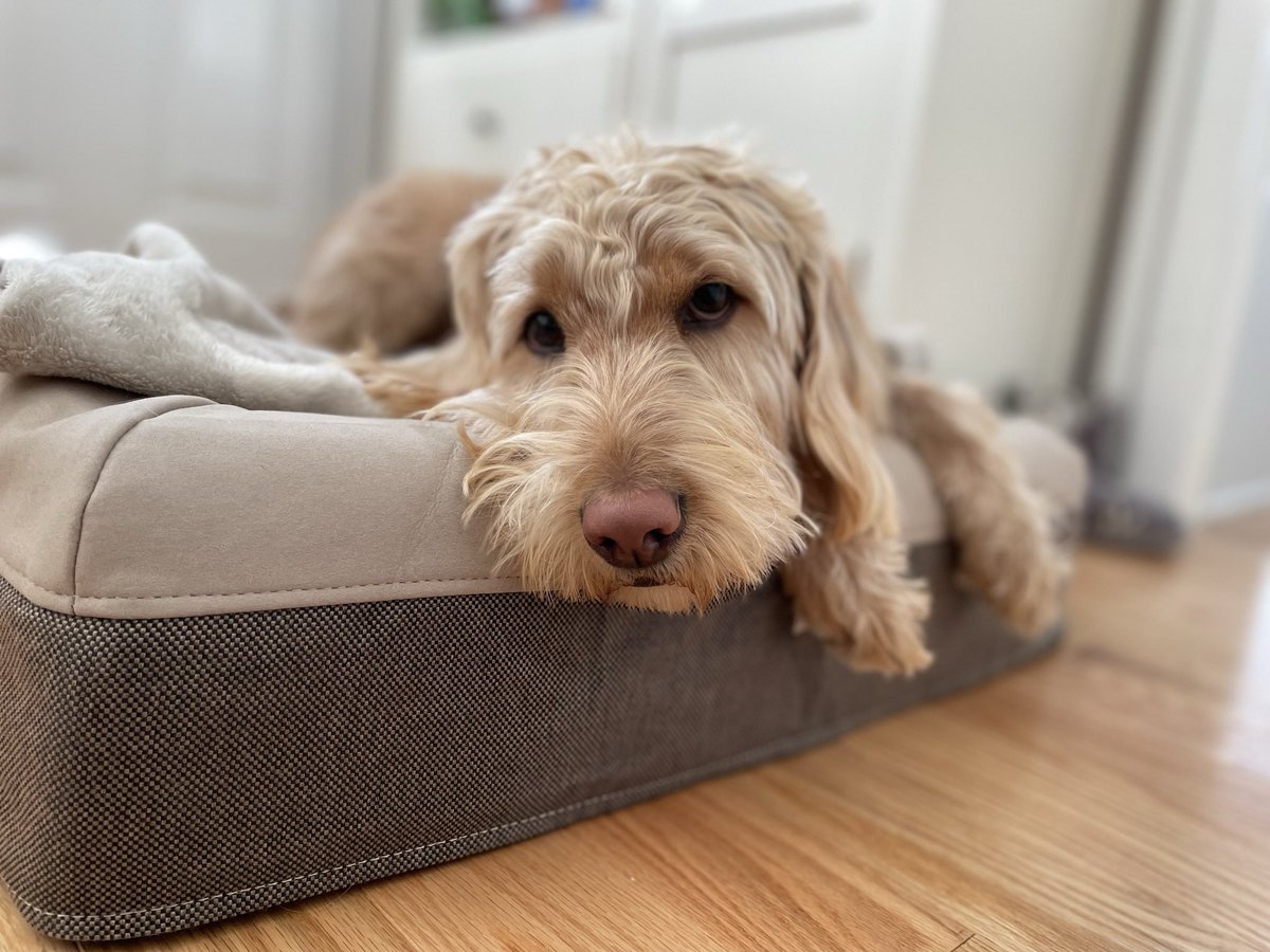 Steven 💎 tweet media