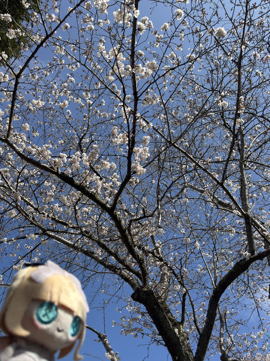 ヤタガラス tweet media