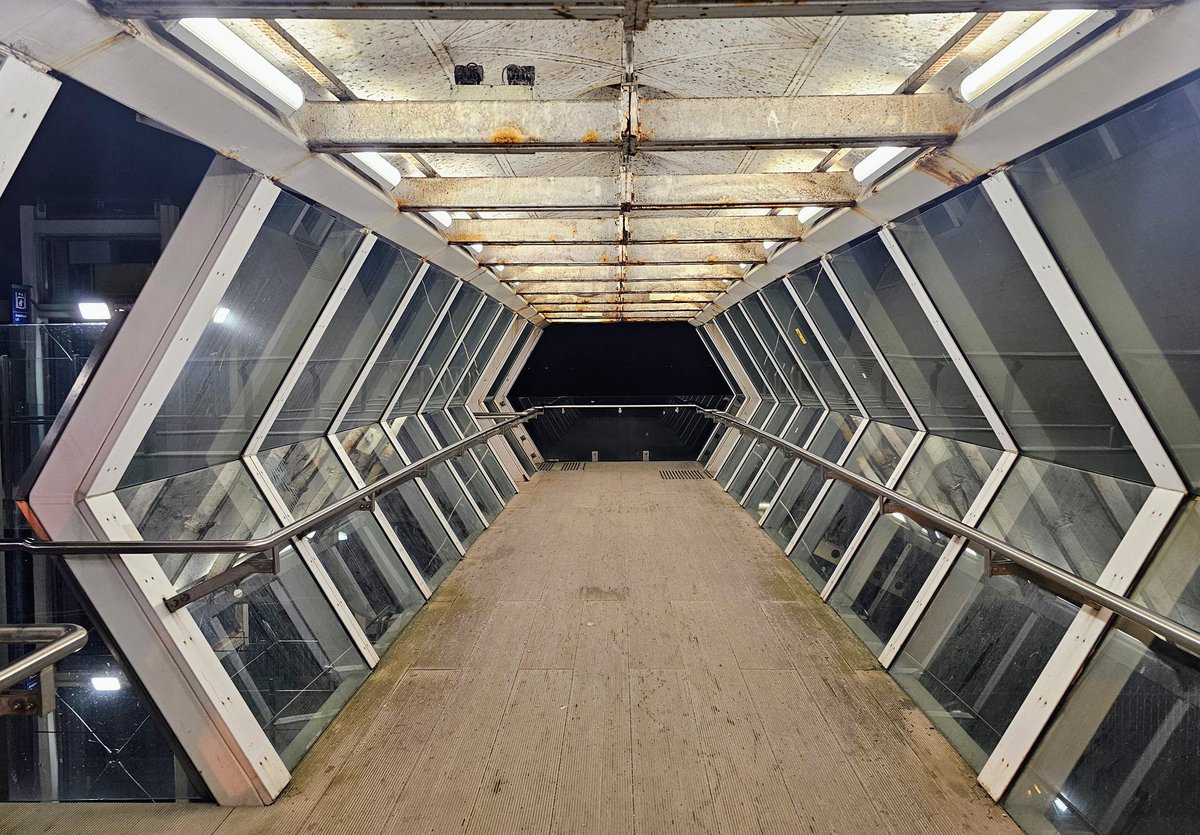 Ed Fidgeon-Kavanagh tweet media