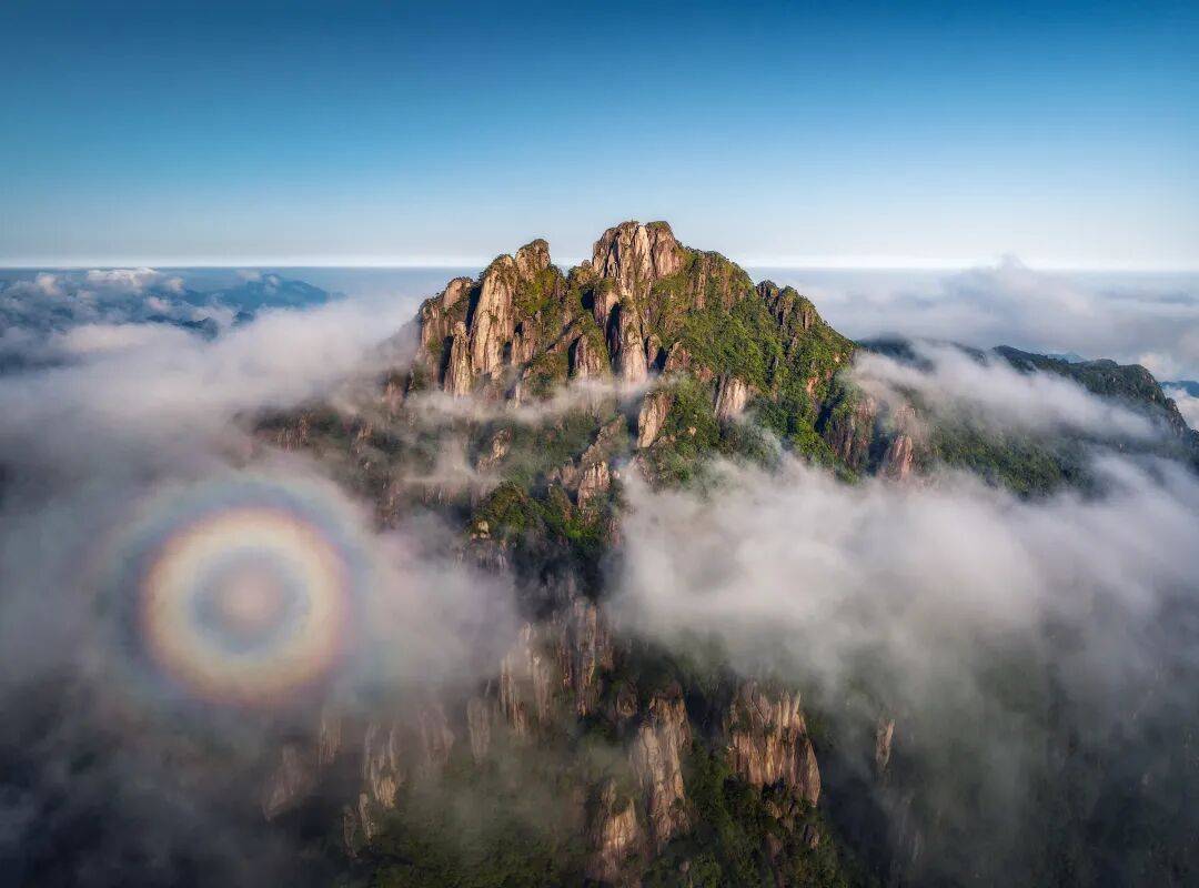 dediasouk tweet media