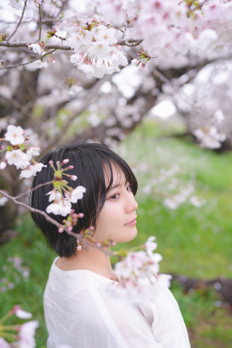 Tetsuya_photo tweet media