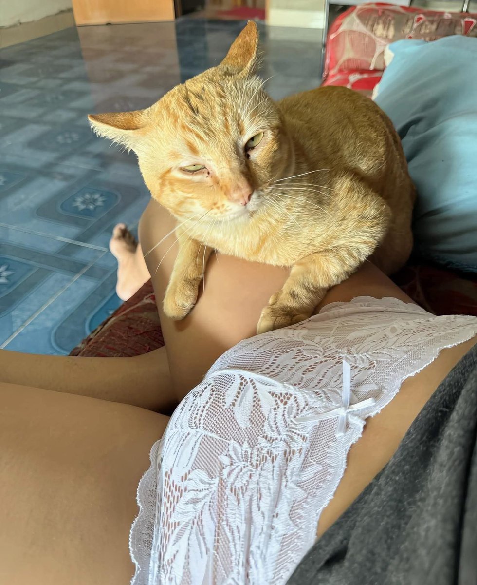 Ayatollah Bin Malamen🗨️ tweet media