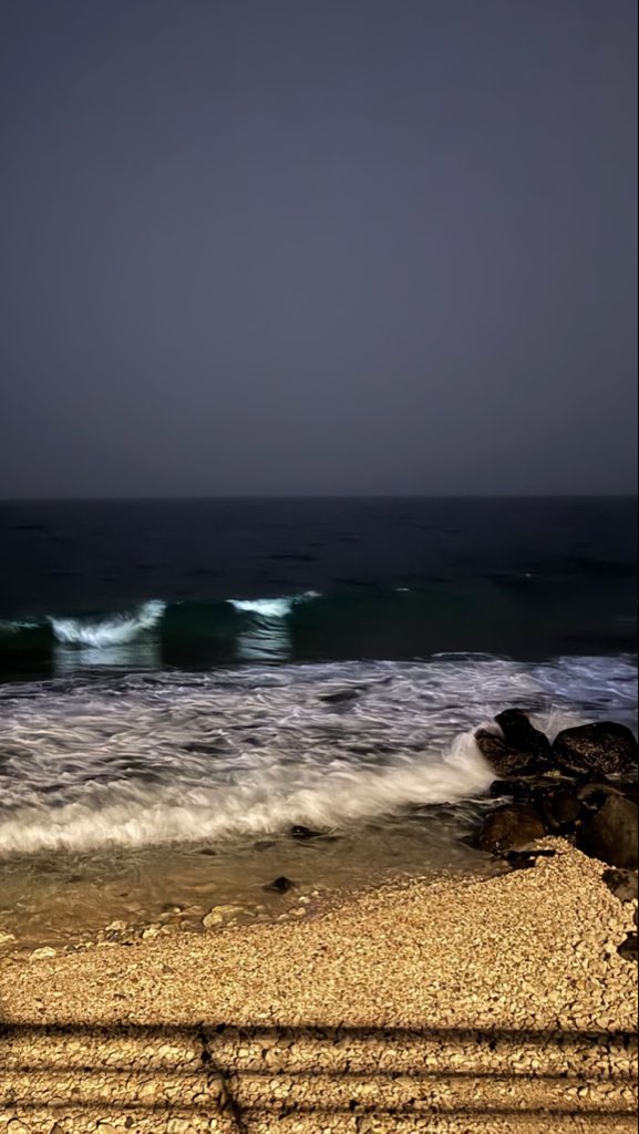 🐈‍⬛🐈‍⬛ tweet media