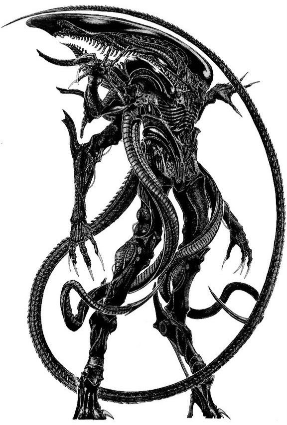 †サルオトコ† tweet media