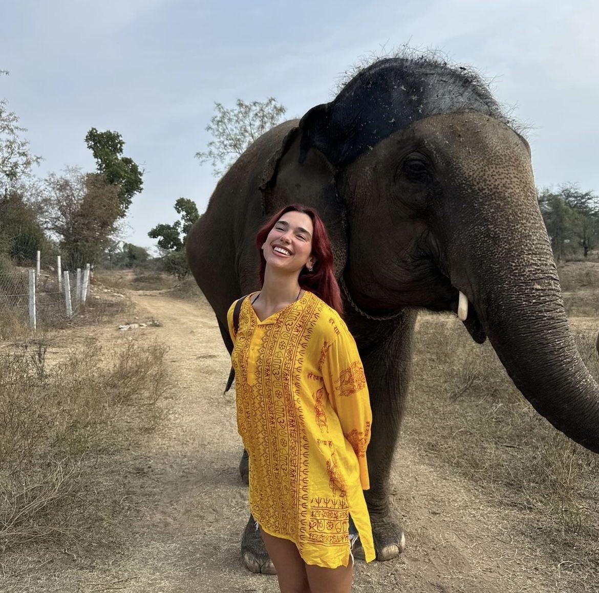 dua lipa pics tweet media