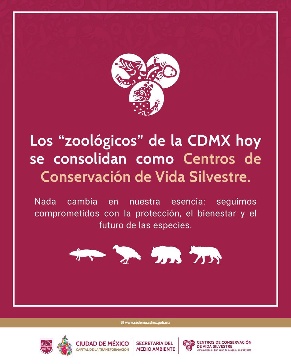 Centros de Conservación de la Vida Silvestre CDMX tweet media