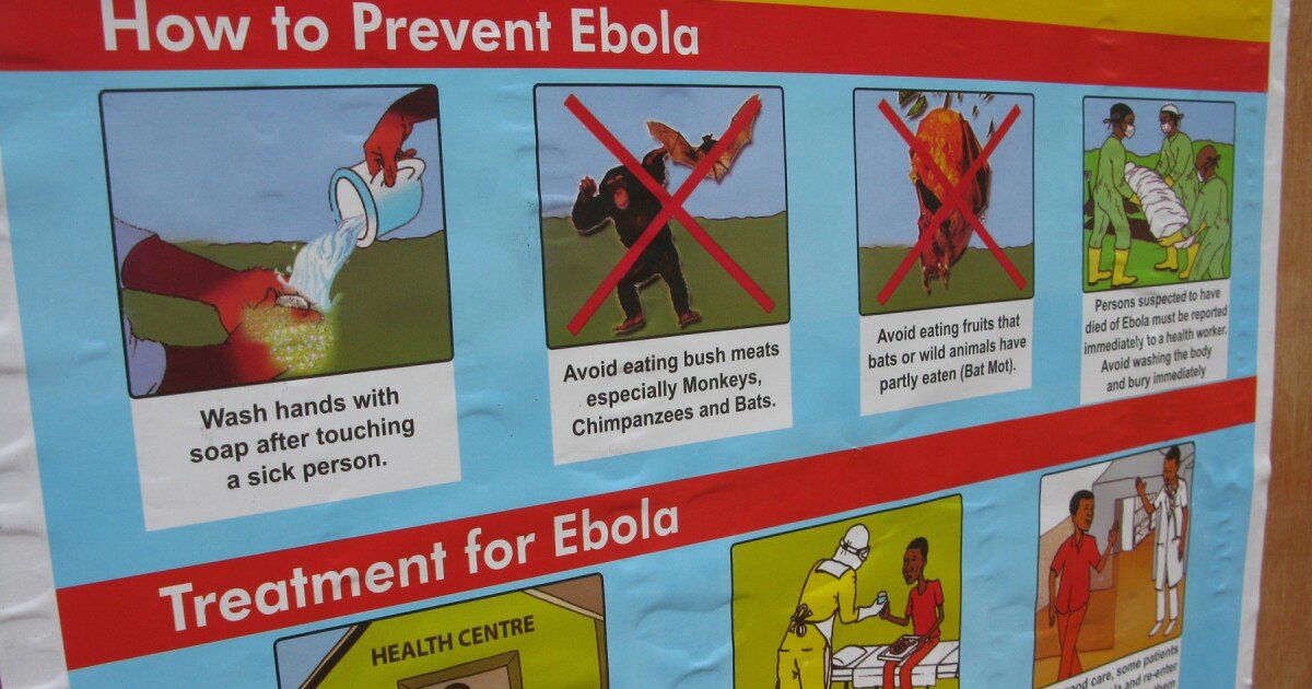 Hannah Zchokkei tweet media