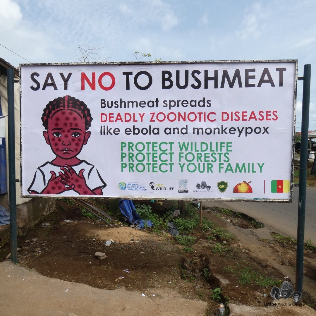 Hannah Zchokkei tweet media