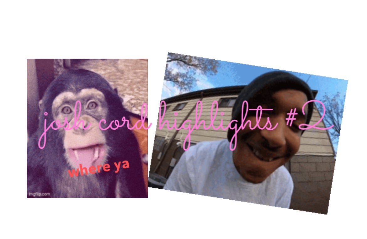 josh🤨 tweet media