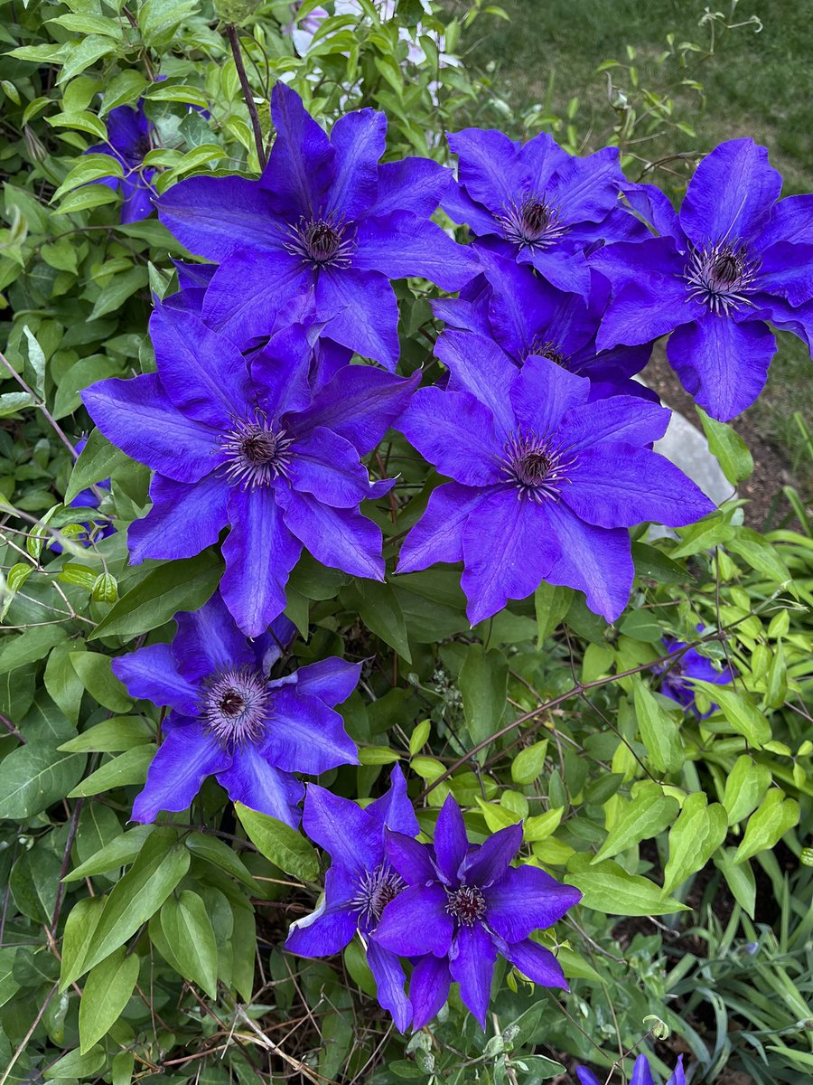 sjm8, PA-C tweet media