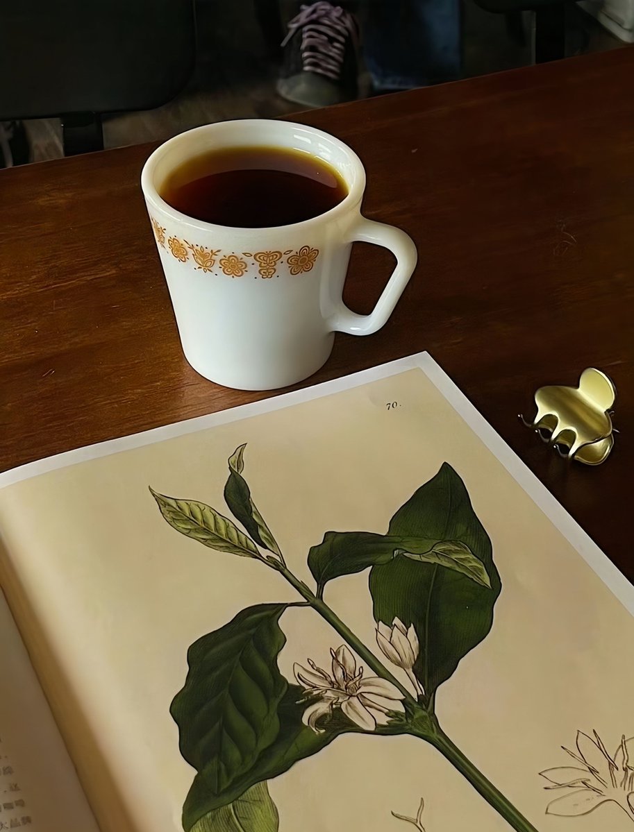 Agathe Collobert tweet media