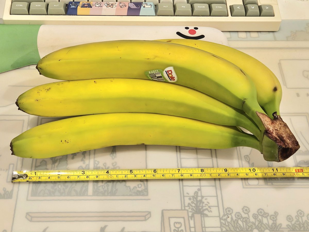 Uruka 🐻🎻 NEW OUTFIT 2/21 | Phase Connect tweet media