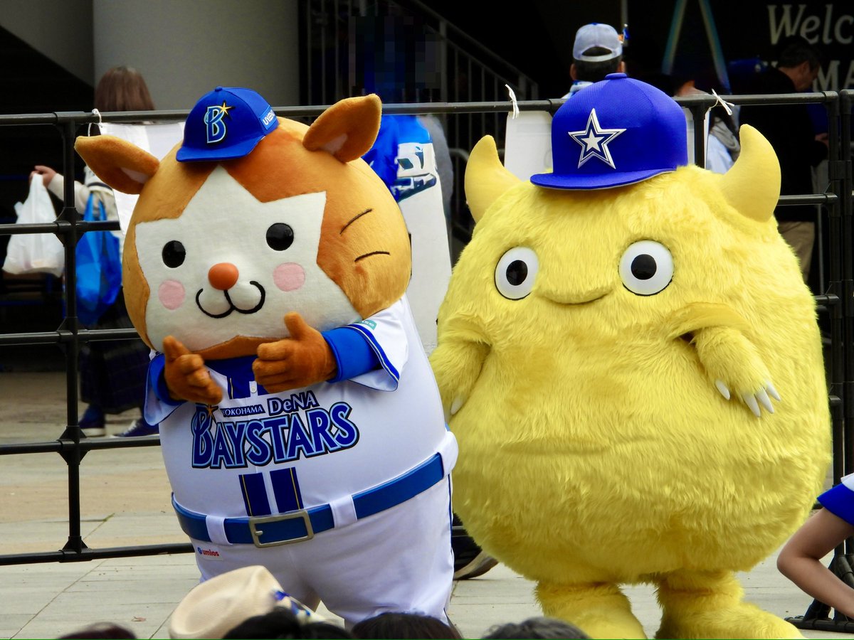 🟡🦭 tweet media