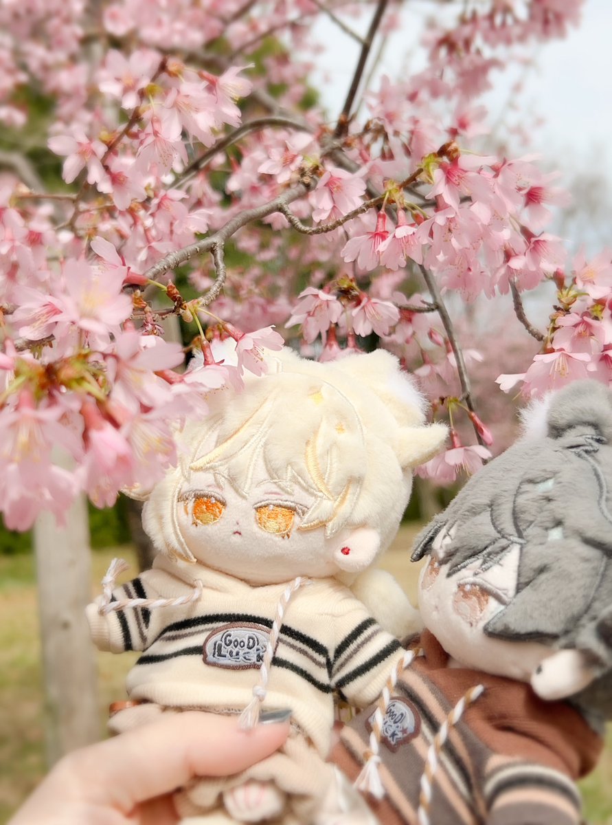 ていち tweet media