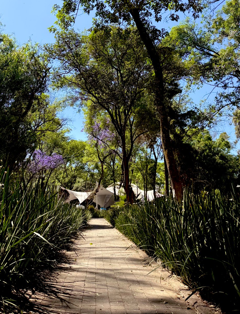 🖤𝕸𝖆𝖗𝖌𝖎𝖊🔮 tweet media