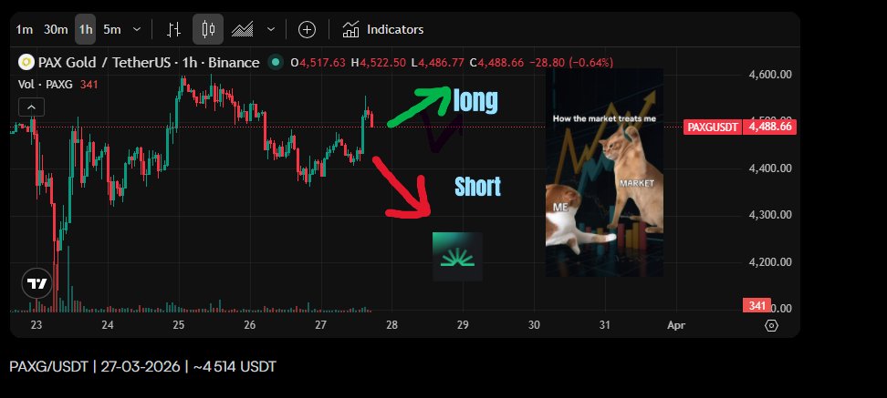 Severus Tobias Snape 🔆 tweet media