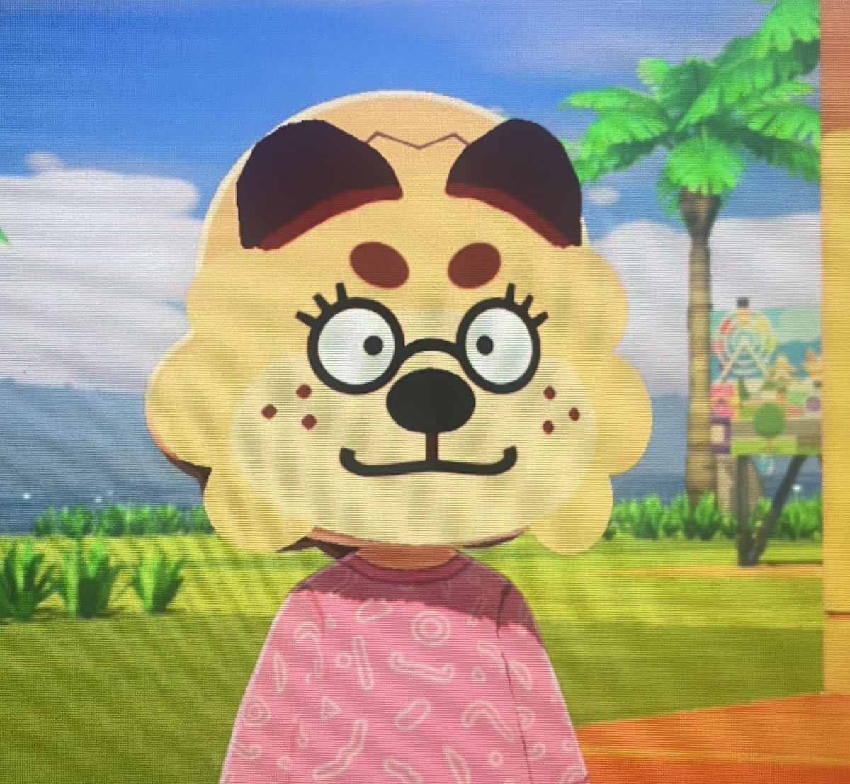 chomp (pupa era) tweet media