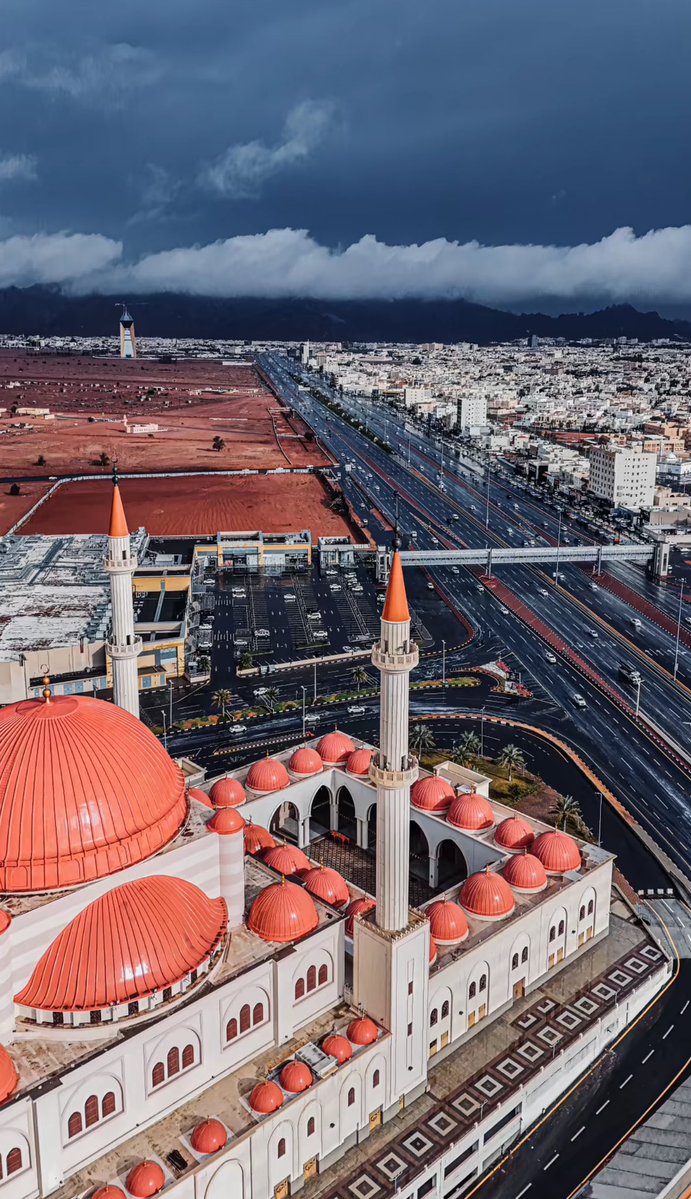 المملكة tweet media