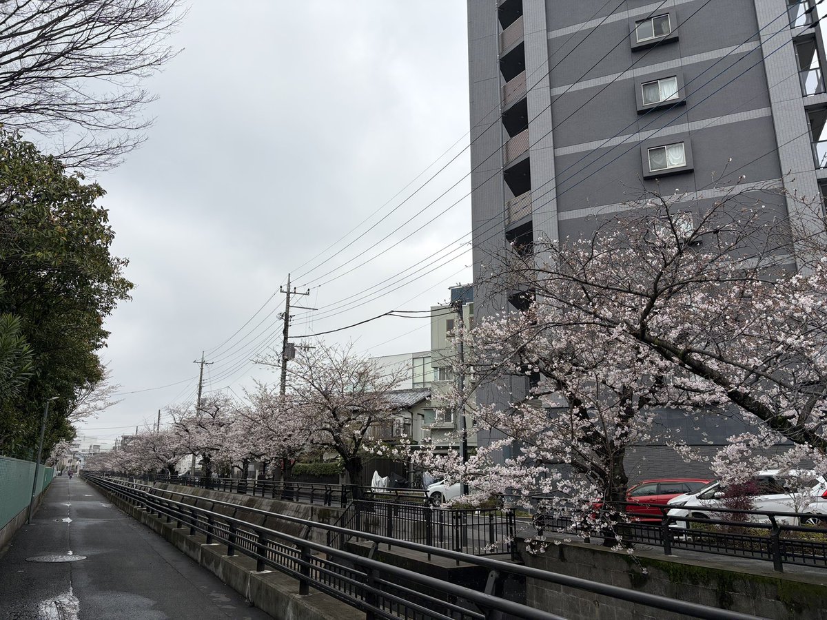 ちぃかま@🦑🍚 tweet media