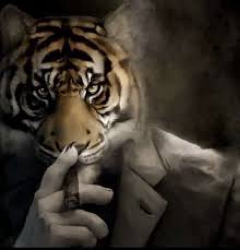 ✟𝔊𝔞𝔩𝔞𝔤𝔞𝔰/𝒱𝒶𝓁𝑒𝓇𝑒𝒾⛤🏳️‍⚧️ tweet media