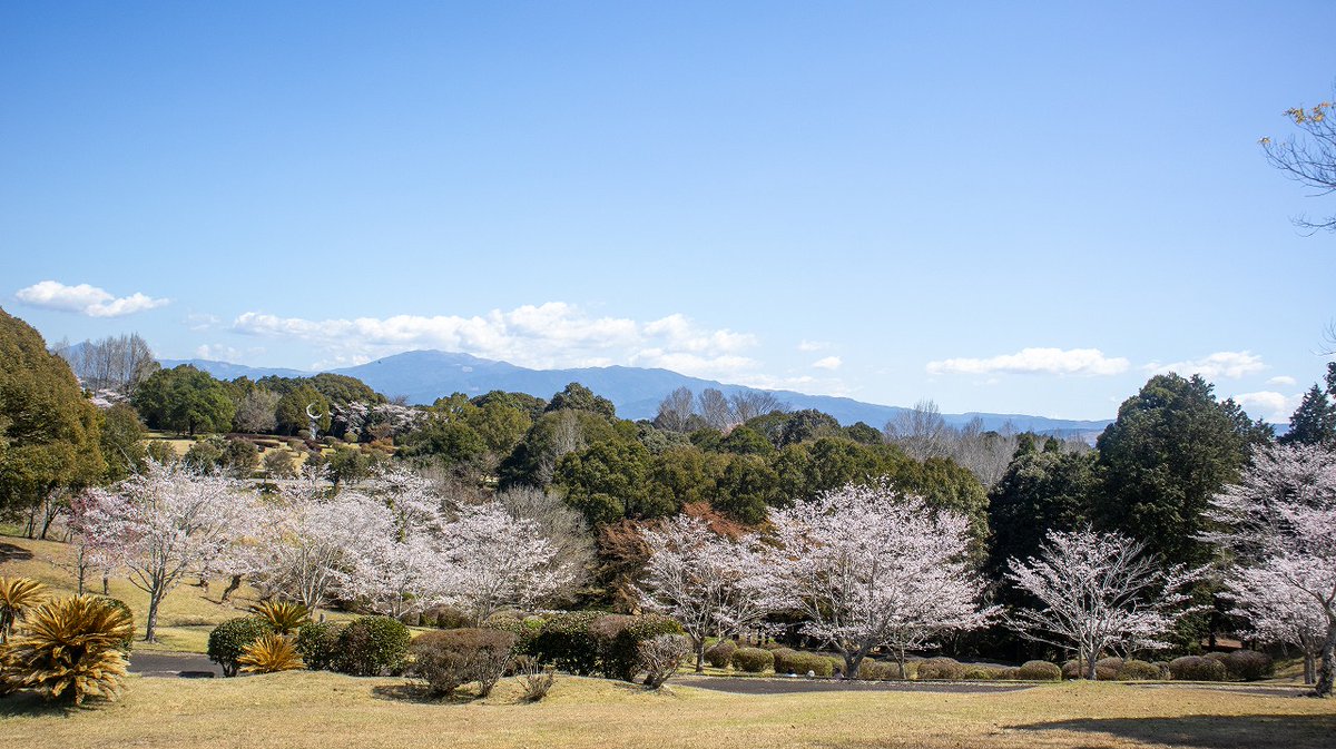 人吉球磨チャンネル tweet media