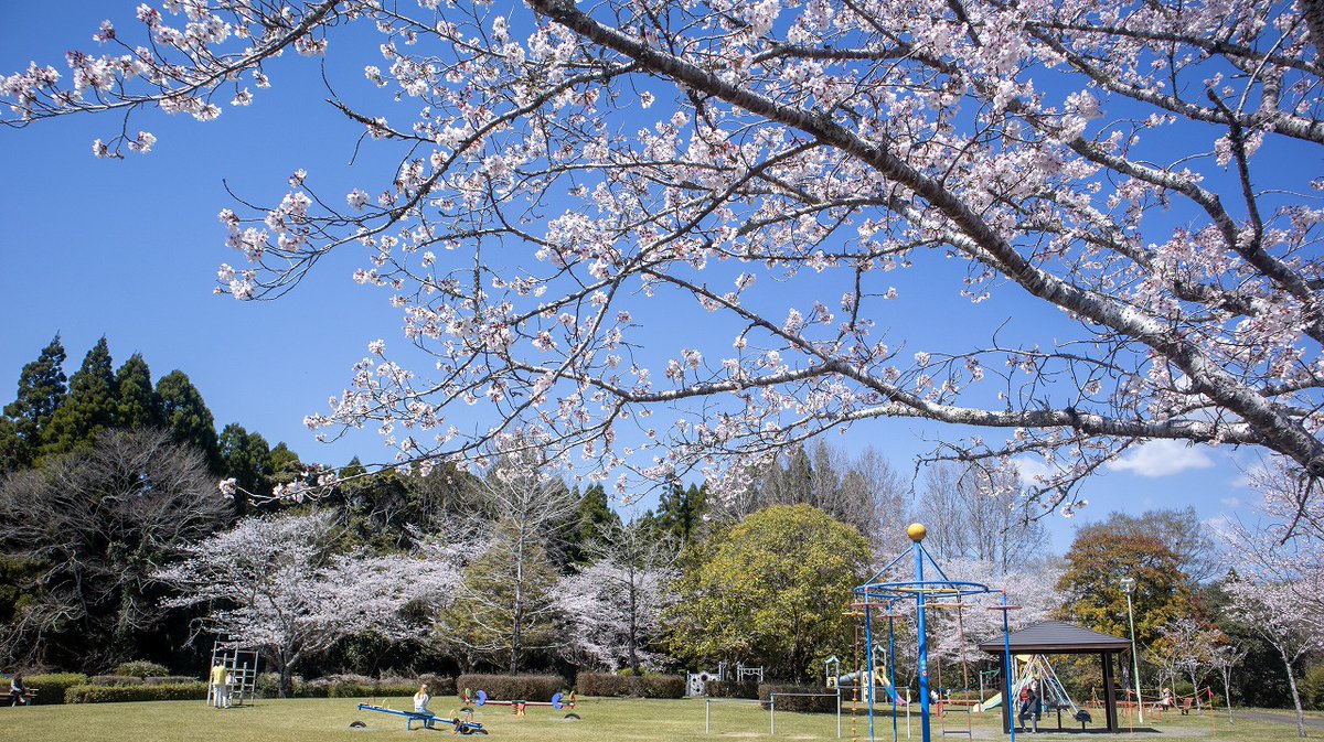 人吉球磨チャンネル tweet media