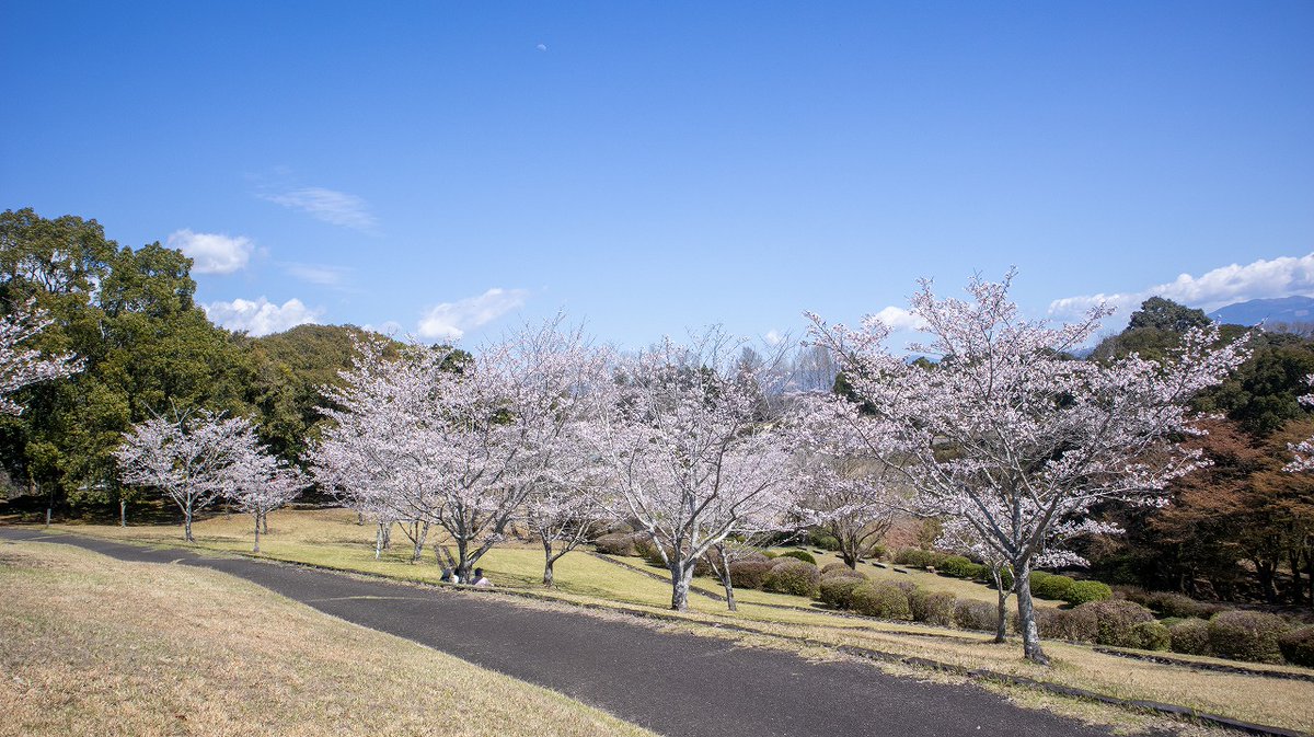 人吉球磨チャンネル tweet media