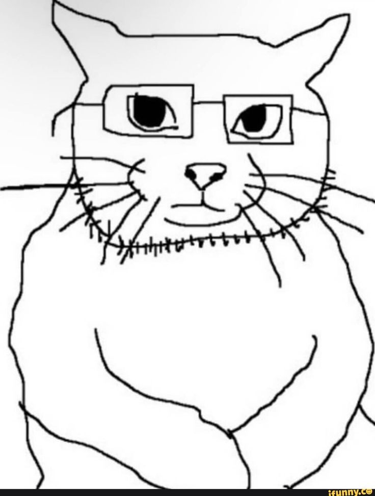 Pszów-Warszawa Wspólna Sprawa🏳️⚧️ tweet media