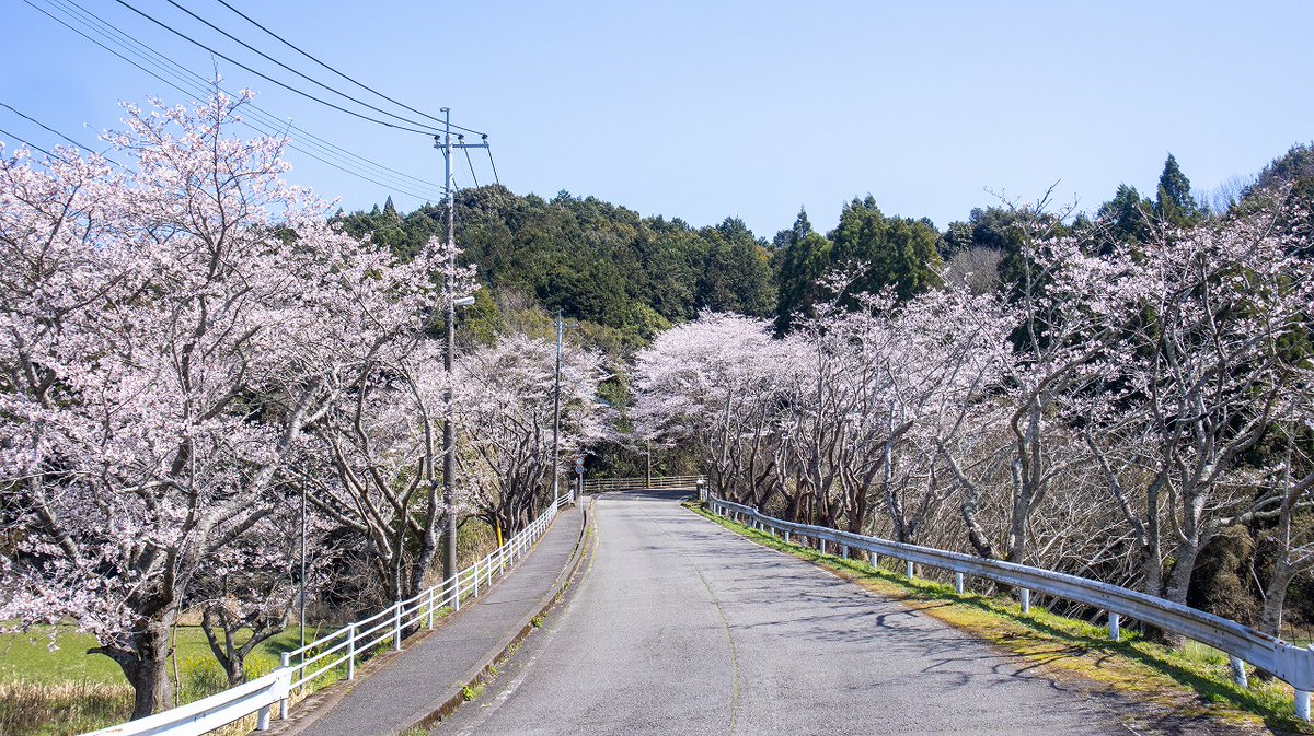 人吉球磨チャンネル tweet media