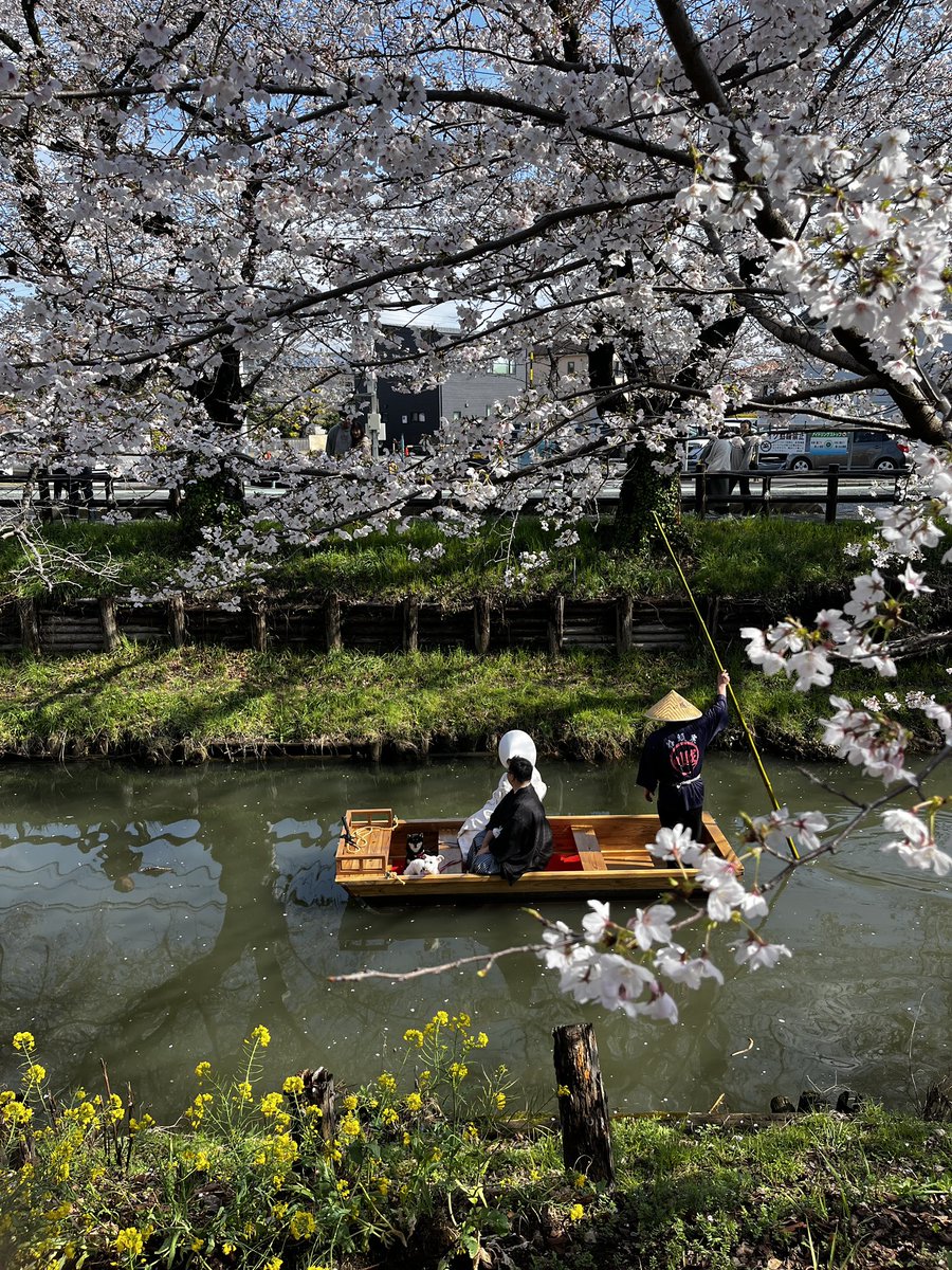 一二三@コスプレカメラマン tweet media