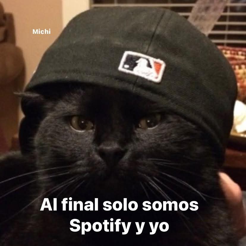 Animalitos en aprietos. tweet media