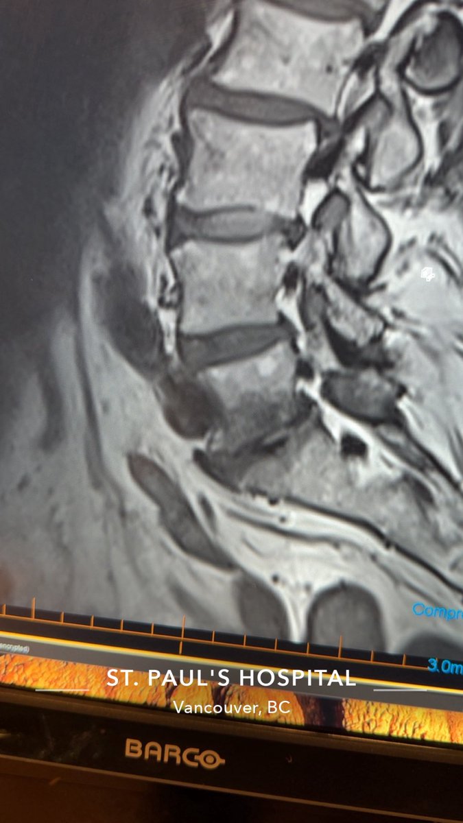 د.يزيد القاسم tweet media