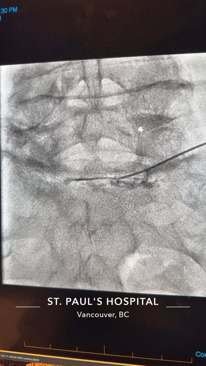 د.يزيد القاسم tweet media