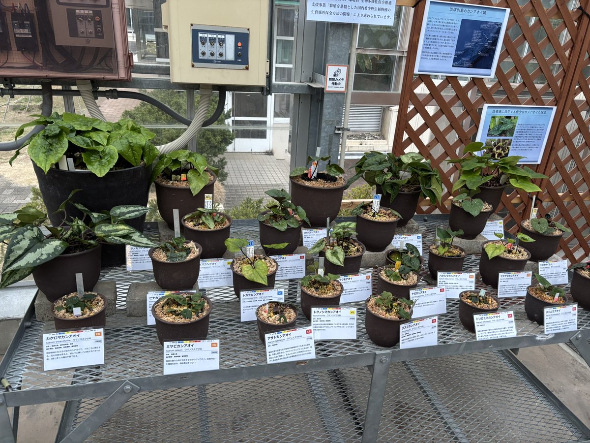 奥山雄大(茨城県在住関西人) tweet media