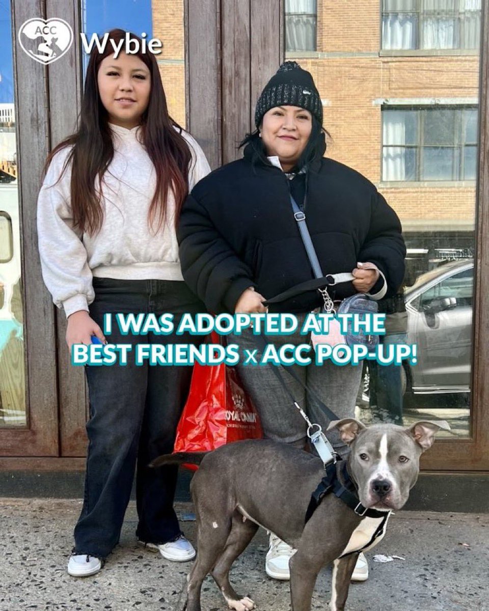 Moishe's Mom tweet media