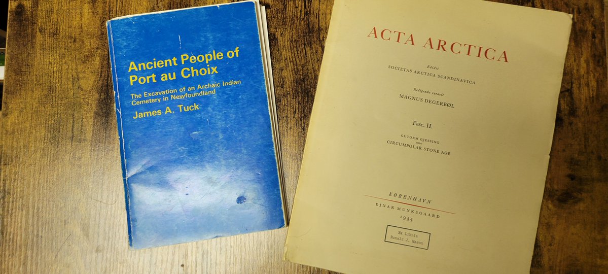 CopperViolette tweet media