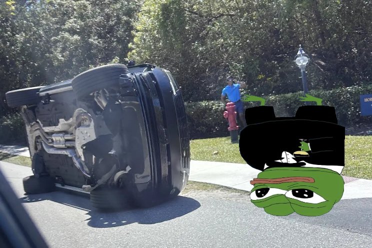 Dr. Goldencream III🧩🐸 tweet media