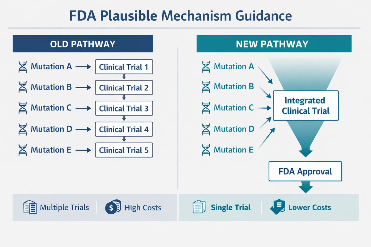 Lexi Ventures tweet media