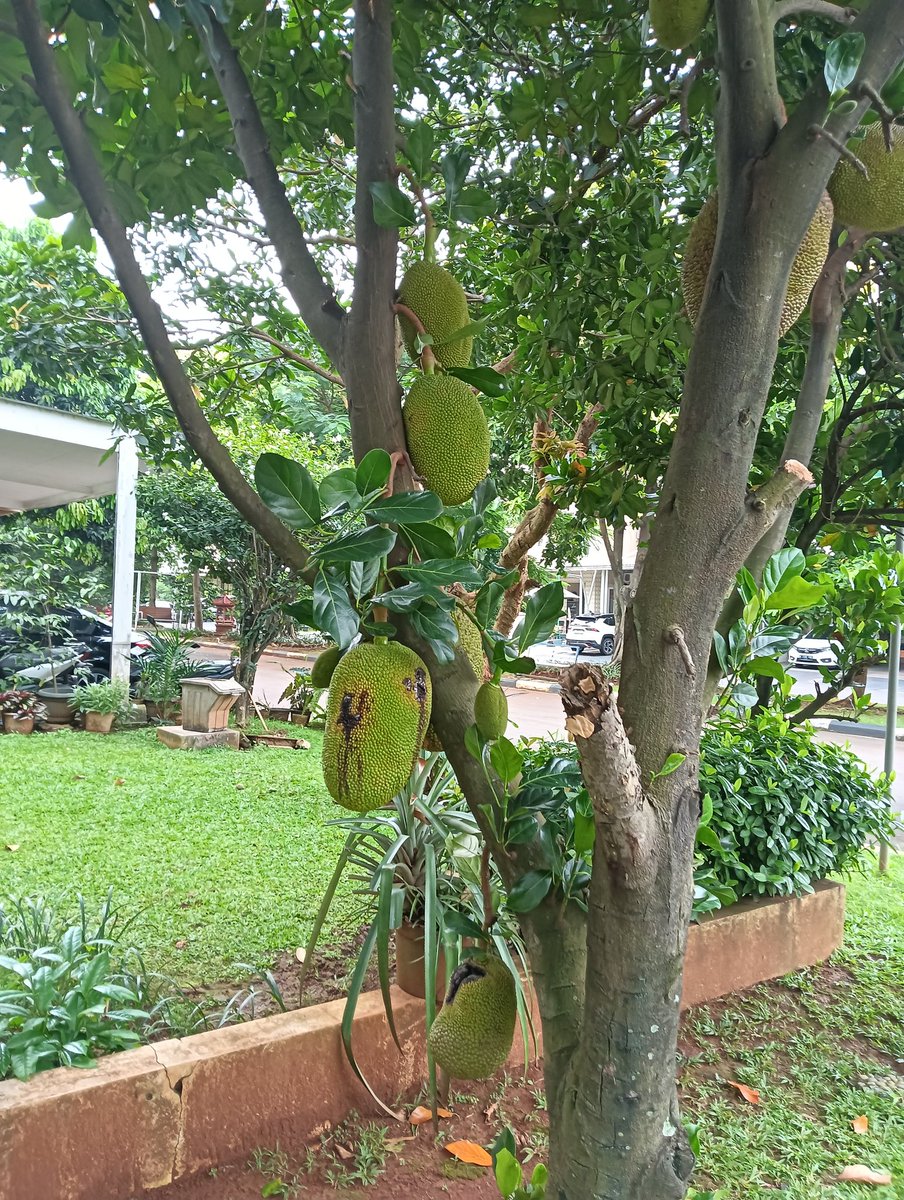 fiona100ten tweet media