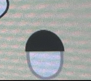 Pascal LegrandFrere tweet media