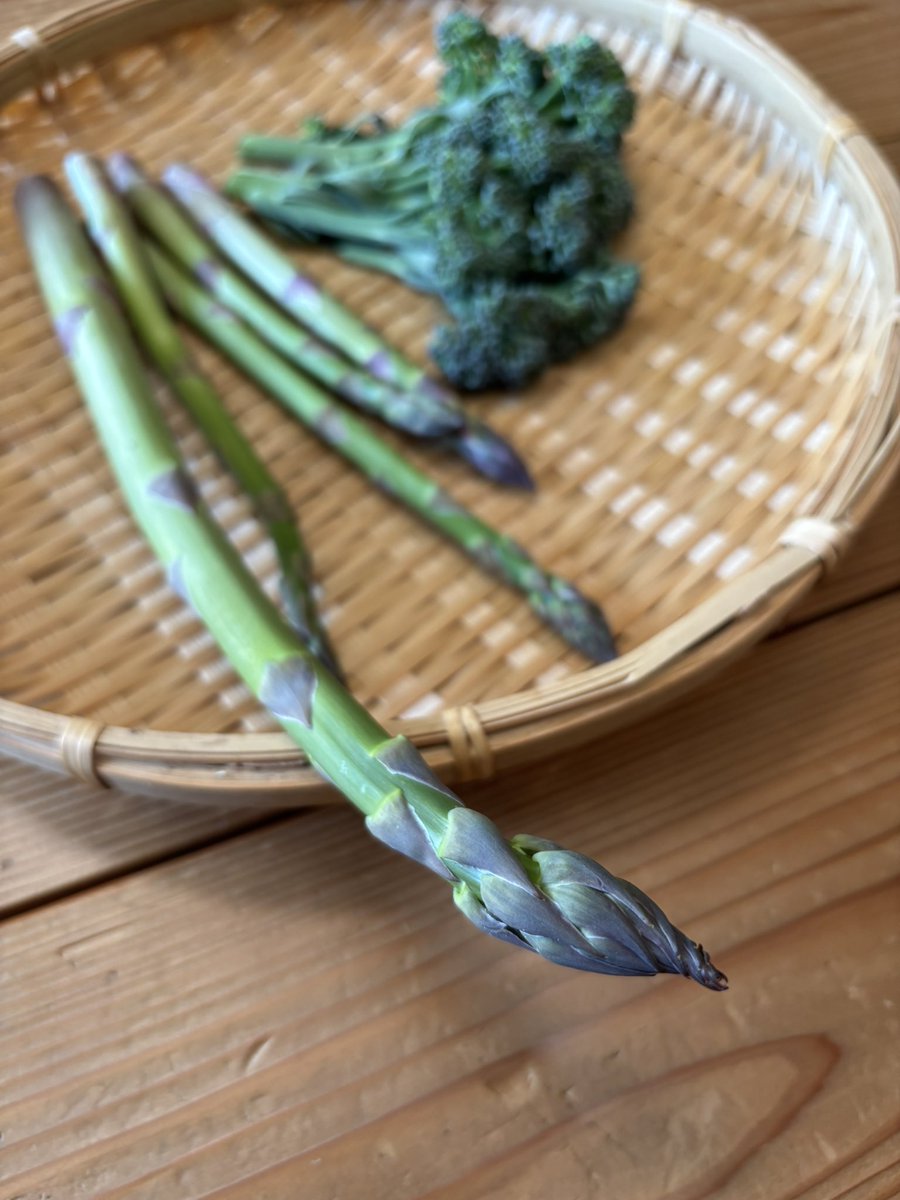 ひげあん(安藤雅一) tweet media