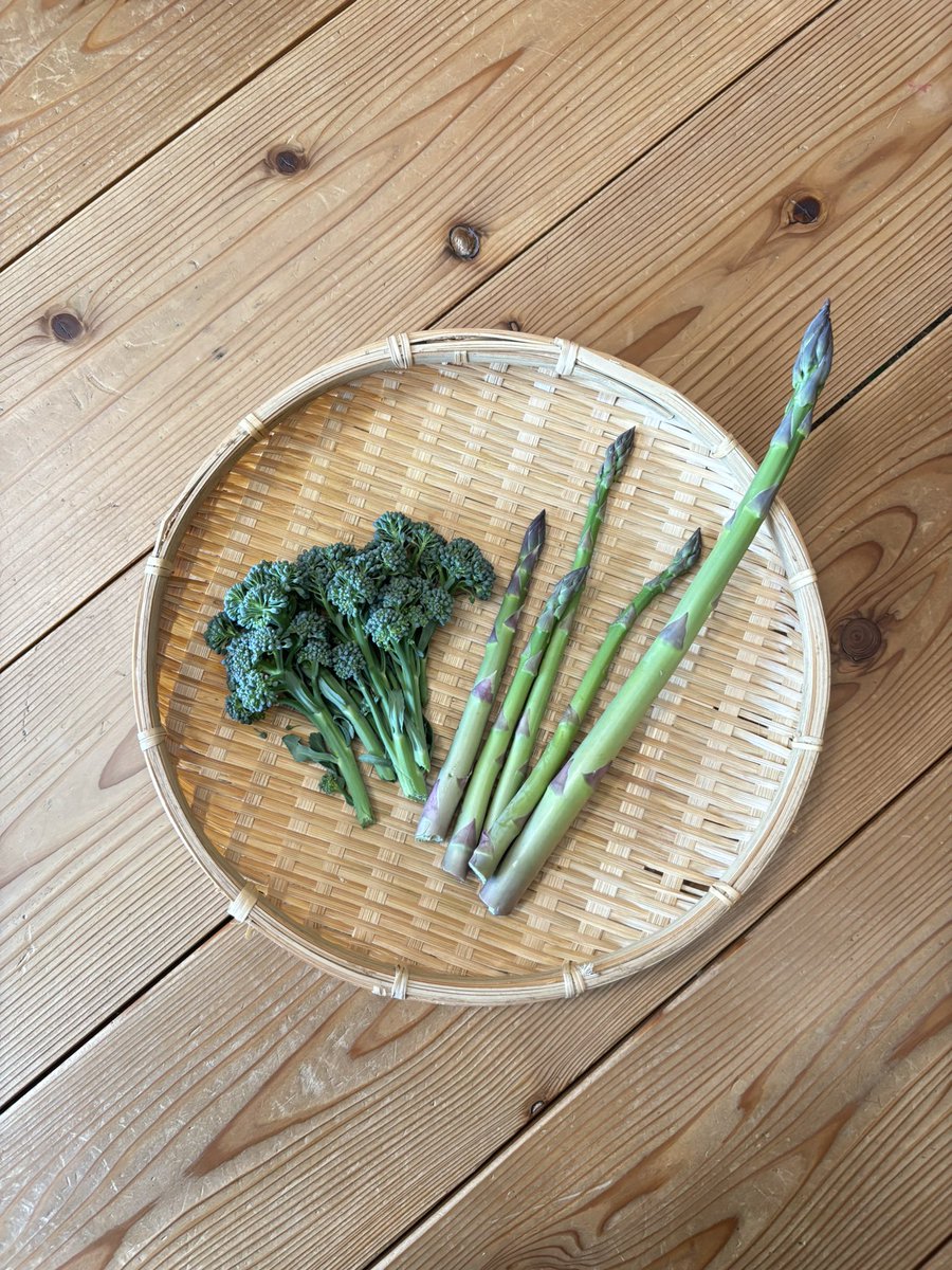 ひげあん(安藤雅一) tweet media