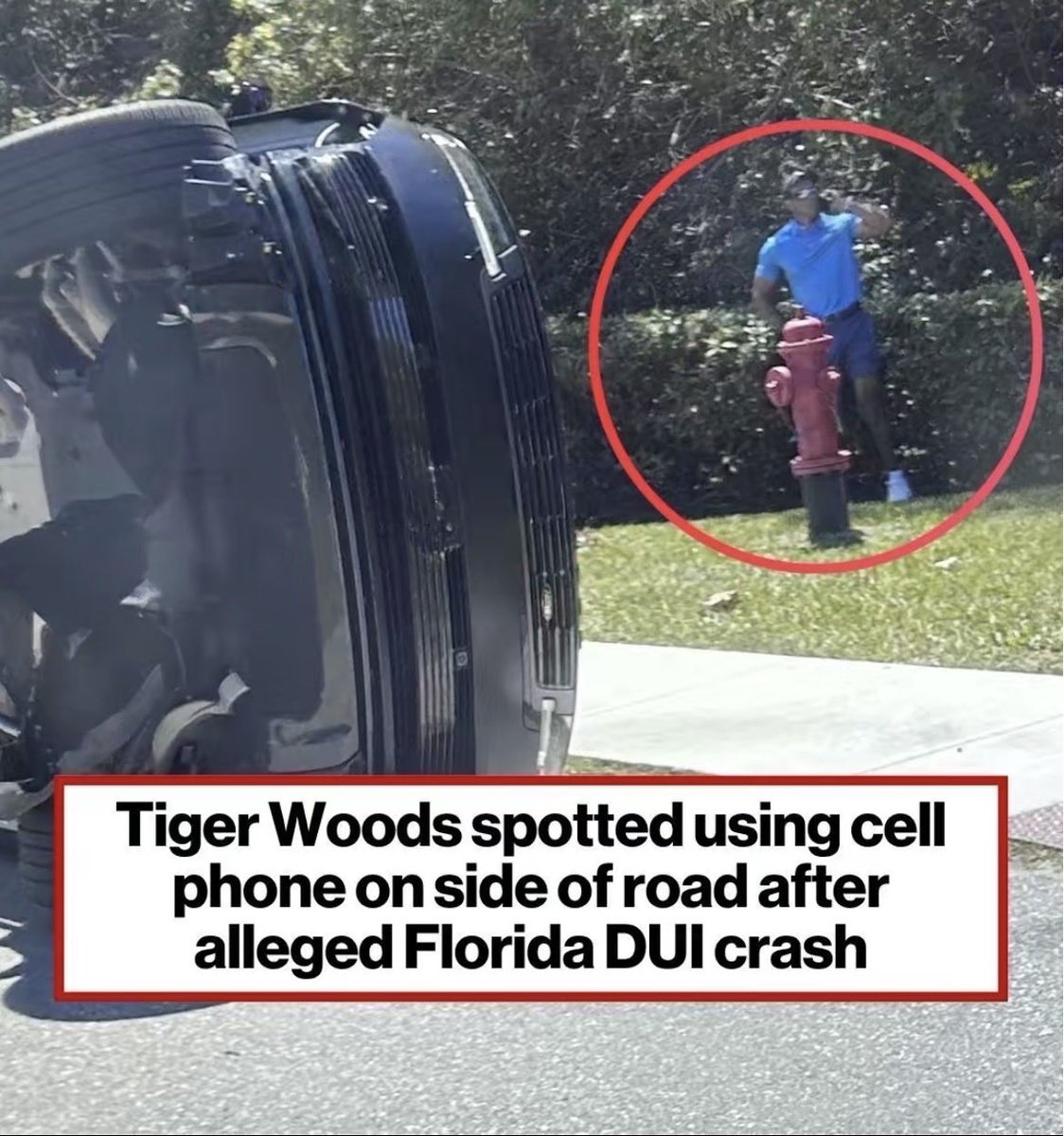 Let’s Go to the Phones tweet media